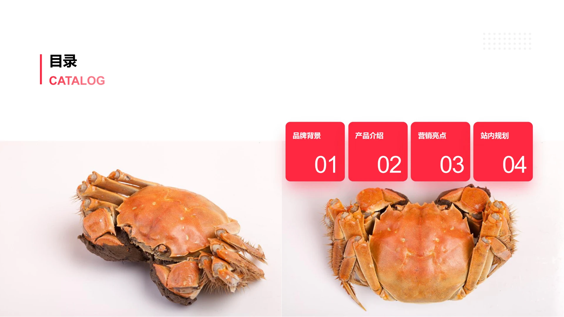 拉面说蟹黄面上市方案